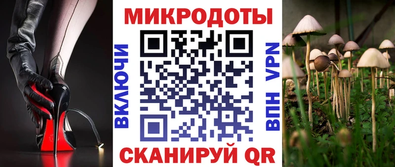 Галлюциногенные грибы Psilocybe Туран